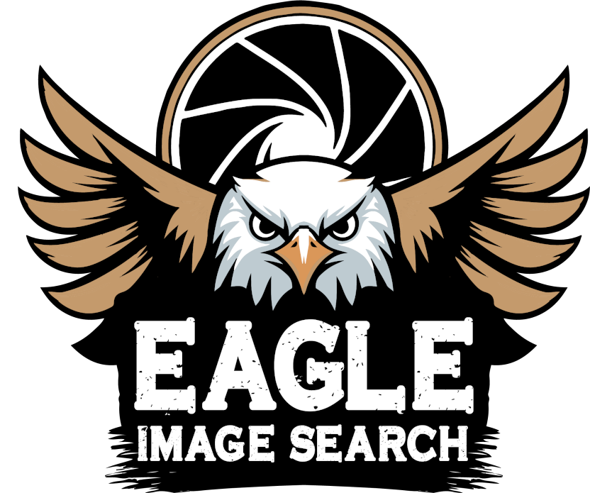 Eagle Search Logo